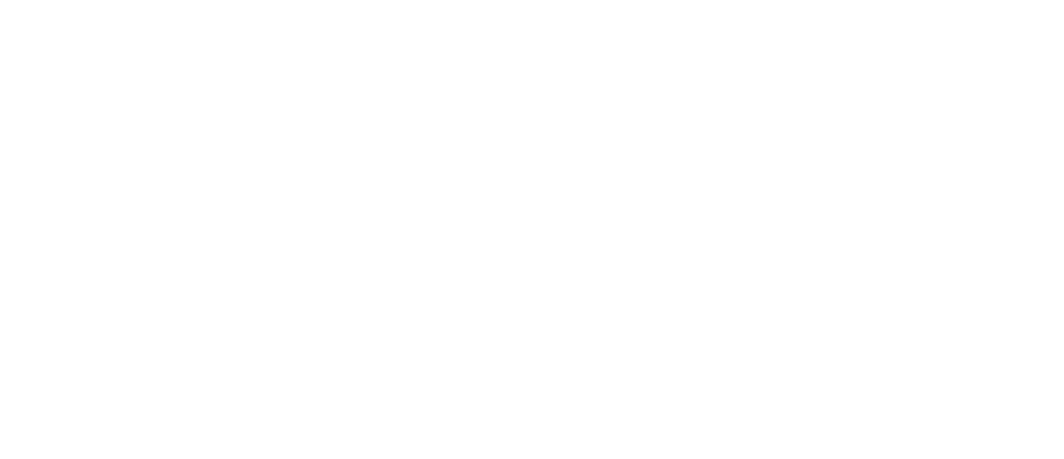 d.velop Partner Platinum Logo